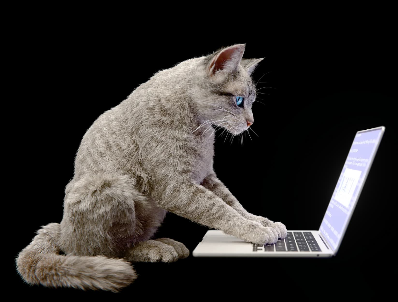 Cattix