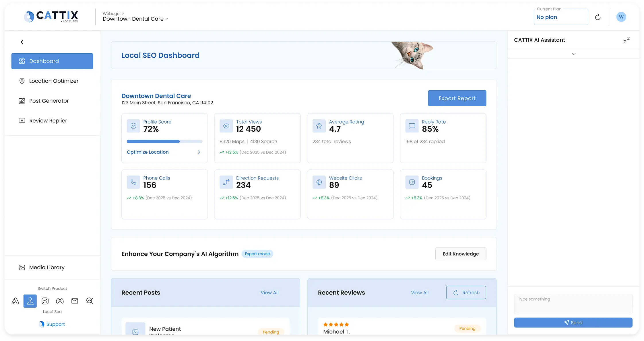 CATTIX Local SEO dashboard